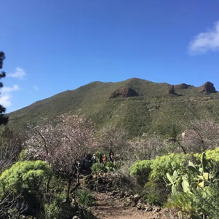 Independiente Estudio En Acogedora Casita De Mai Appartamento